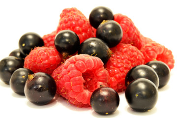 raspberry and black currant on white background