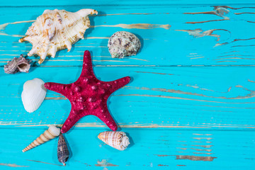 Starfish with shells on a blue wooden background. View from above.