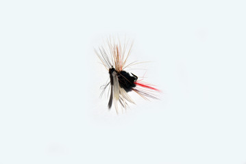 Prince fly for fly fishing