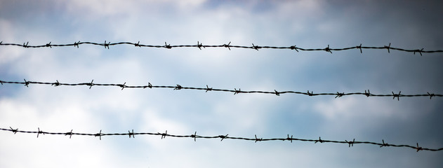 Fencing. Fence with barbed wire. Let. Jail. Thorns. A prisoner. Holocaust. Concentration camp. Prisoners. Depressive background. - obrazy, fototapety, plakaty