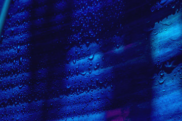 Banana leaf blue background in bright  morning in Phuket Thailand