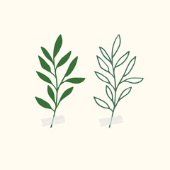 Vector botanic illustrations. Botanical clipart. Set of Green branches. Floral Herb Design elements. 