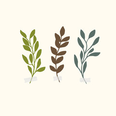 Vector botanic illustrations. Botanical clipart. Set of Green branches. Floral Herb Design elements. 