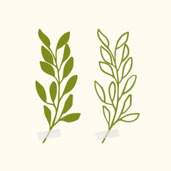 Vector botanic illustrations. Botanical clipart. Set of Green branches. Floral Herb Design elements. 