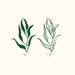 Vector botanic illustrations. Botanical clipart. Set of Green branches. Floral Herb Design elements. 