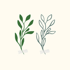 Vector botanic illustrations. Botanical clipart. Set of Green branches. Floral Herb Design elements. 