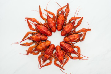 top view of red lobsters on white background