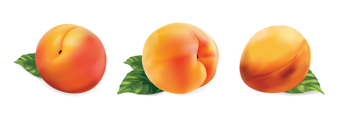 Peach isolated on white background. Vector illustration.