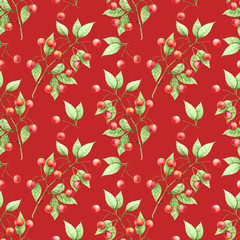 cherry branch pattern with red berries on a red background drawing watercolor