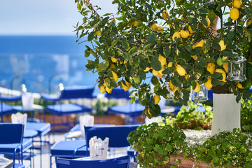 Outdoor cafe with colorful tables and lemon tree
