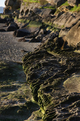 nature, landscape, architecture, automotive, floral, 