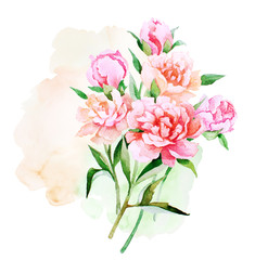 Watercolor artistic handpainted pink peony flowers and buds bouquet on splash, isolated on white, even number, vintage style