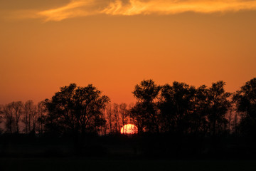 Fototapeta na wymiar Sonnenuntergang über Bäumen auf Insel Rügen
