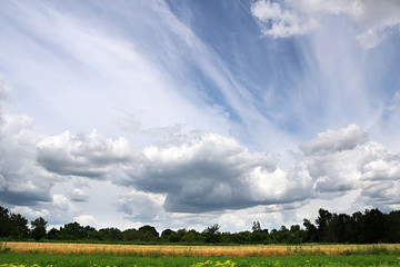 Obraz premium Countryside with wheat field and cloudy sky