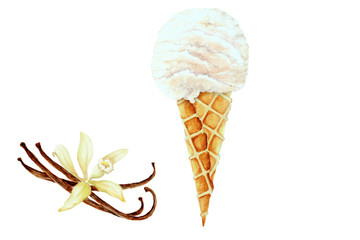 Vanilla ice cream and vanilla pods with flower, watercolor .