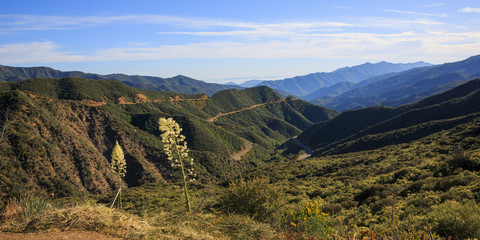 Fototapeta premium Kalifornien Landschaft 3