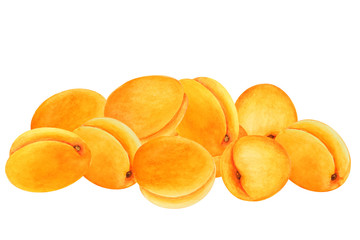 Group of whole apricots, hand drawn watercolor.