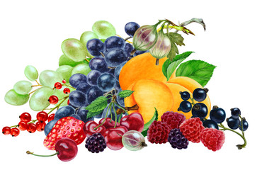 Group o f fruits on a white background, hand drawn watercolor illustration.