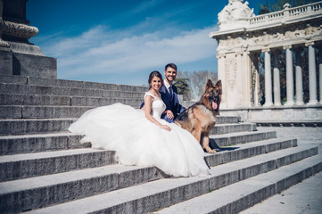 Couple of bride and groom walking posing at camera with a German shepherd dog.