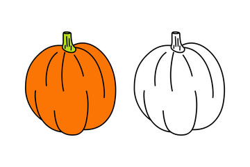 Drawing of a pumpkin, colouring page, vector illustration