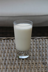 Self made vanilla milkshake in glass on reed background