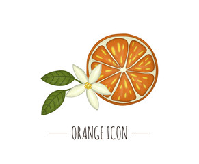 Vector colored illustration of orange isolated on white background. Citrus icon. Fruit concept. Fresh food illustration..