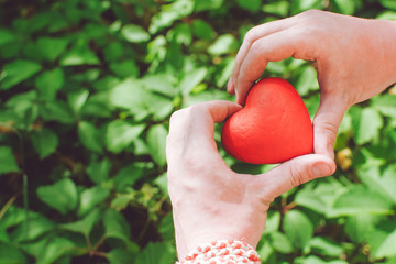 red heart in hands