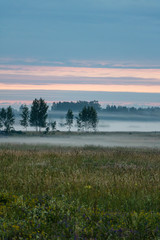 Obraz na płótnie Canvas Nature landscape in sunrise hour with trees and meadow in Midsummer in Latvia