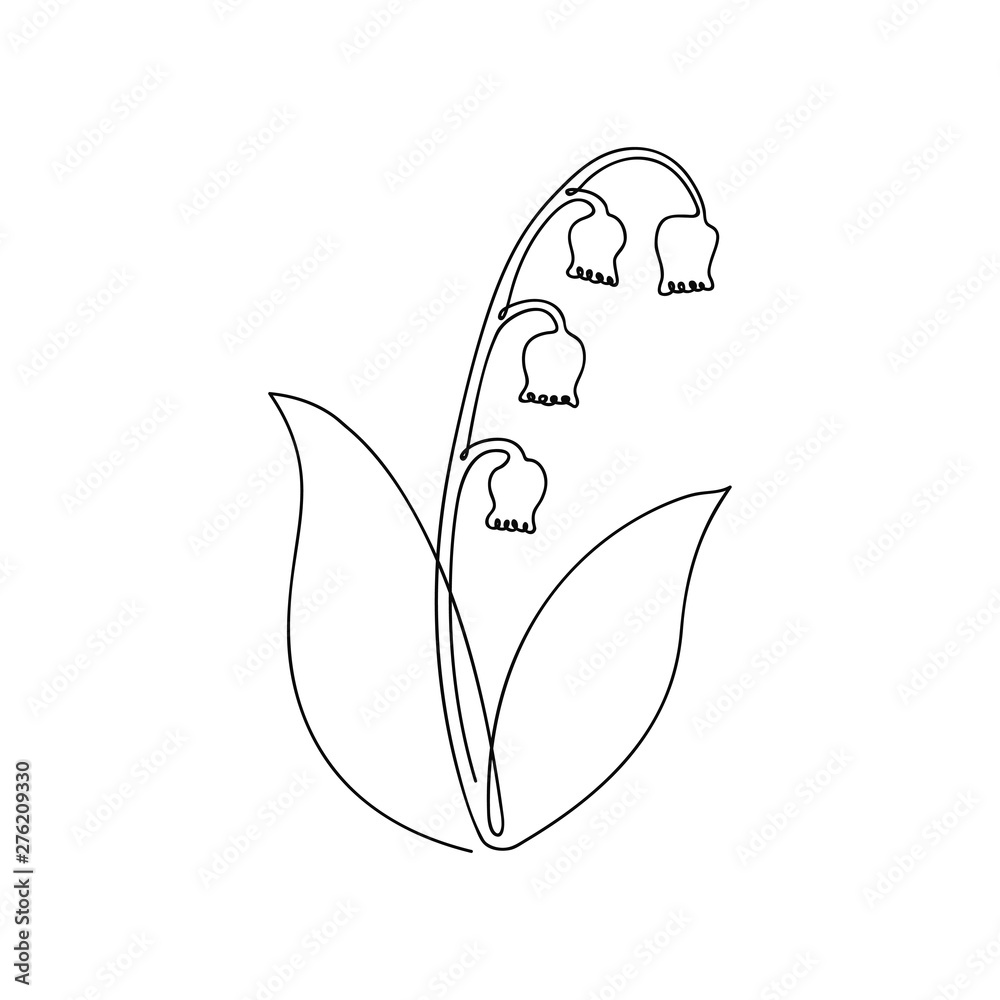 Poster one line drawing of flower. continuous line lily of the valley. hand-drawn minimalist illustration. 