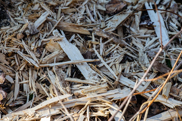 texture of wood chips on the ground