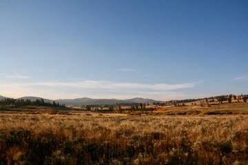 Obraz premium landscape with dry meadow and blue sky