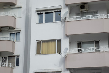 Balconies and windows of a multistory building