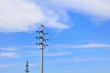 Electric steel rod