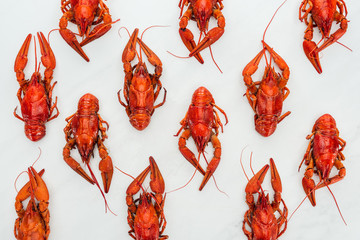 Top view of red lobsters on white background