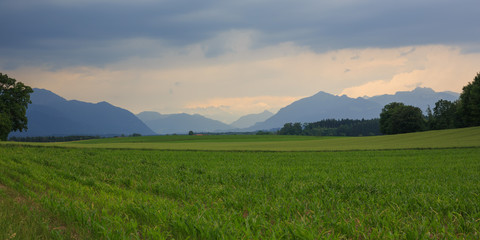 Grüne Wiese vor Bergen