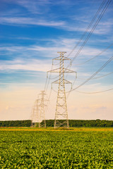 Power transmission lines and towers in the field in countryside
