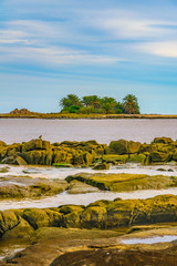 Gulls Island, Montevideo, Uruguay