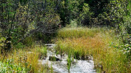 valley of five lakes