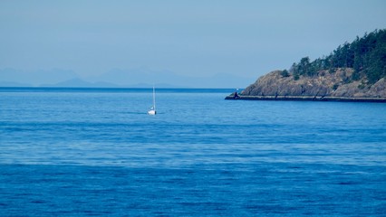 Naklejka premium yacht in the sea