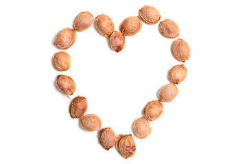 The bones of the apricot on a white isolated background in the form of a heart