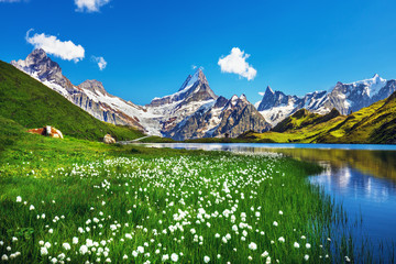 Scenic view on Bernese range above Bachalpsee lake. Popular tourist attraction. Location place Swiss alps, Grindelwald valley, Europe.  - obrazy, fototapety, plakaty