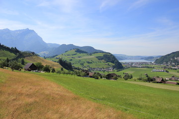 Fototapeta na wymiar Green meadow and distant view of Lake Lucerne.