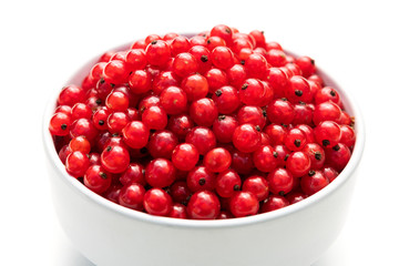 red currant in a white bowl on a white isolated background