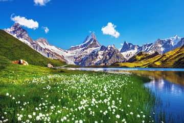 Scenic view on Bernese range above Bachalpsee lake. Popular tourist attraction. Location place Swiss alps, Grindelwald valley, Europe. 