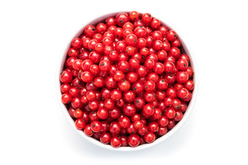 red currant in a white bowl on a white isolated background