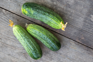 fresh young cucumbers