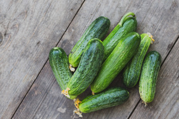 fresh young cucumbers