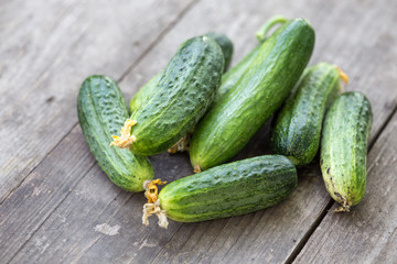 fresh young cucumbers