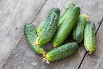 fresh young cucumbers