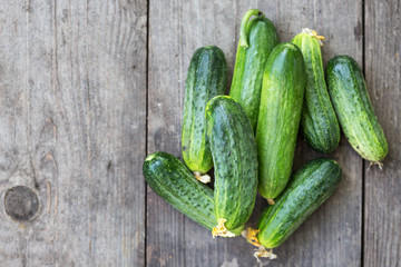 fresh young cucumbers